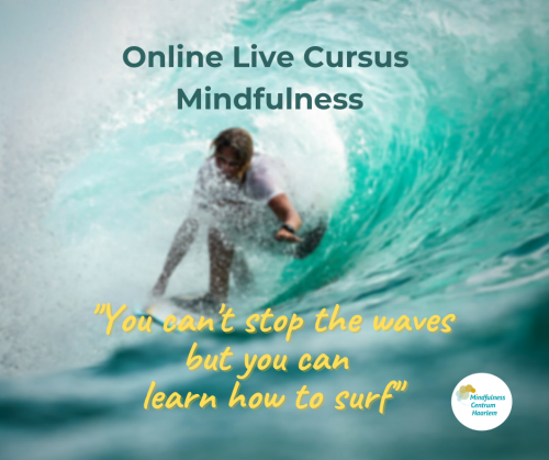 Mindfulness live online webinar 2021