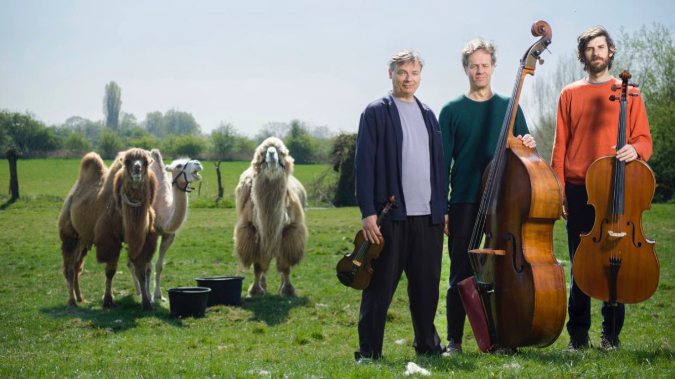 STROOVE STRING TRIO