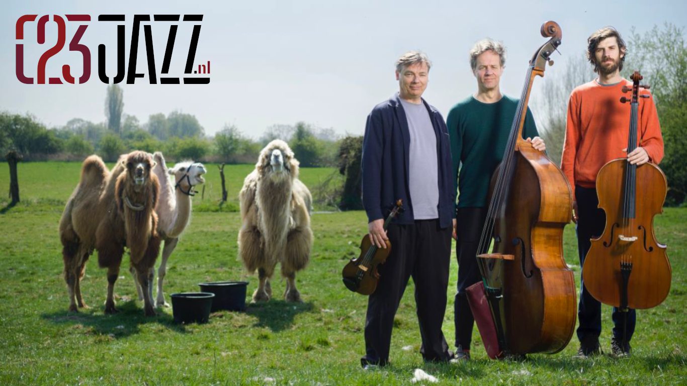 STROOVE STRING TRIO