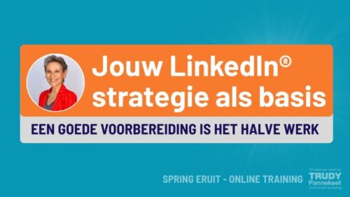 Marketing strategie LinkedIn training_Trudy Pannekeet